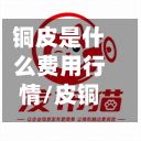 铜皮是什么费用行情/皮铜什么价位-第2张图片