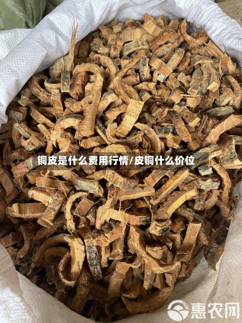 铜皮是什么费用行情/皮铜什么价位
