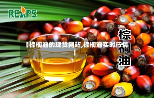 【棕榈油的现货网站,棕榈油实时行情】-第3张图片
