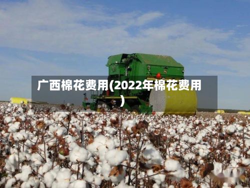广西棉花费用(2022年棉花费用)-第2张图片