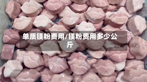 单质镁粉费用/镁粉费用多少公斤