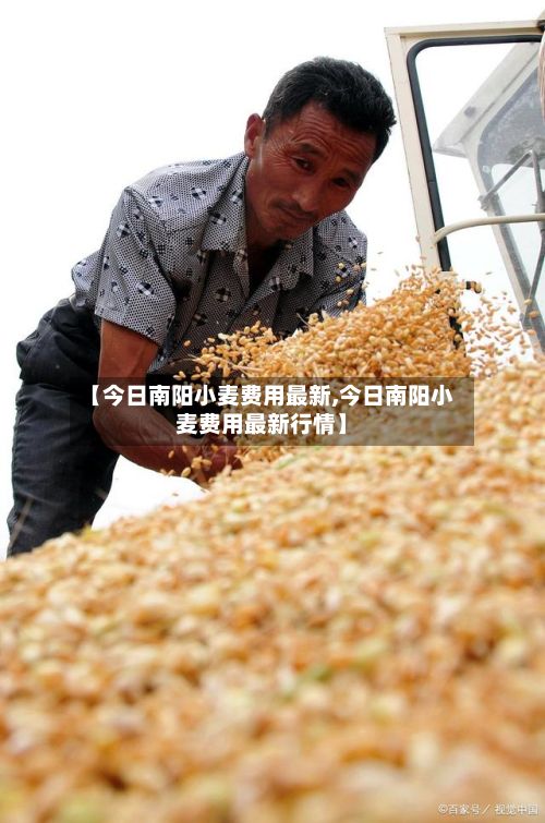 【今日南阳小麦费用最新,今日南阳小麦费用最新行情】
