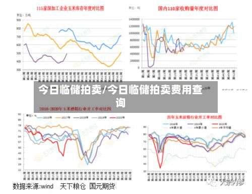 今日临储拍卖/今日临储拍卖费用查询