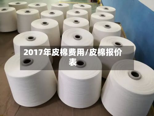 2017年皮棉费用/皮棉报价表