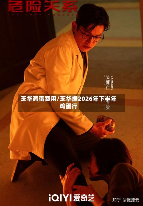 芝华鸡蛋费用/芝华据2026年下半年鸡蛋行-第2张图片