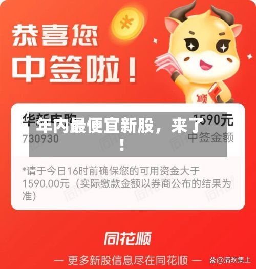 年内最便宜新股，来了！