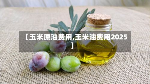 【玉米原油费用,玉米油费用2025】-第3张图片