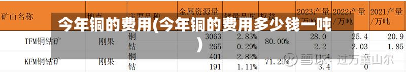 今年铜的费用(今年铜的费用多少钱一吨)