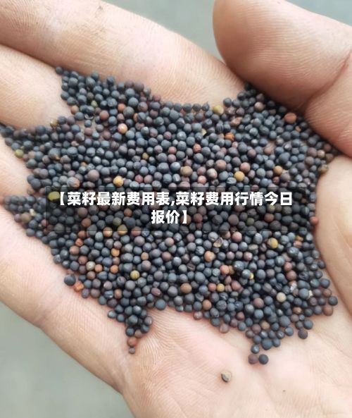 【菜籽最新费用表,菜籽费用行情今日报价】-第2张图片