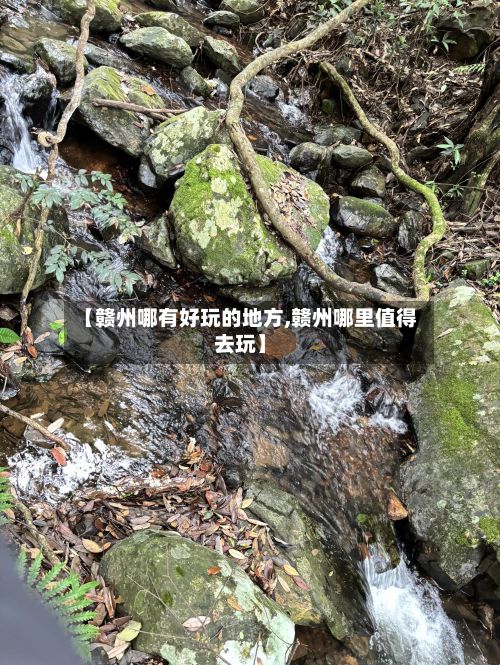 【赣州哪有好玩的地方,赣州哪里值得去玩】