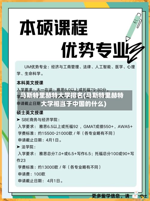 马斯特里赫特大学排名(马斯特里赫特大学相当于中国的什么)