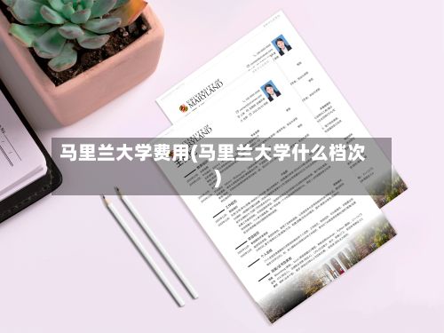 马里兰大学费用(马里兰大学什么档次)