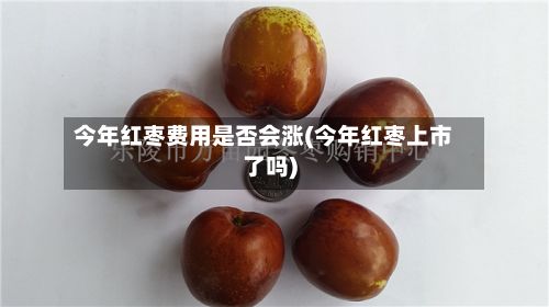 今年红枣费用是否会涨(今年红枣上市了吗)