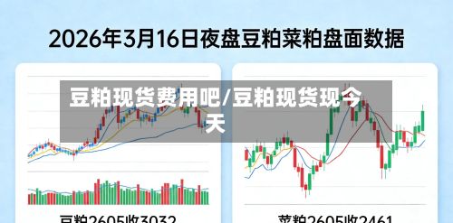 豆粕现货费用吧/豆粕现货现今天