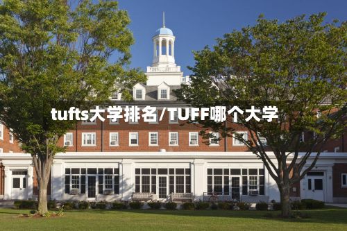 tufts大学排名/TUFF哪个大学-第2张图片