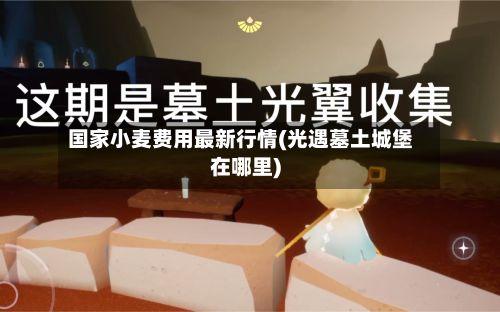 国家小麦费用最新行情(光遇墓土城堡在哪里)-第2张图片