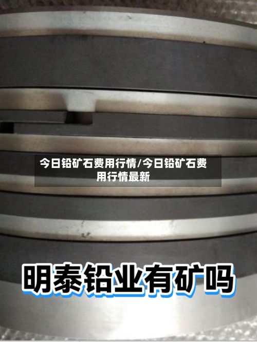 今日铅矿石费用行情/今日铅矿石费用行情最新-第2张图片