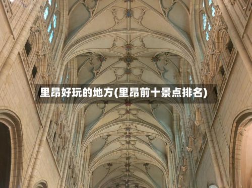 里昂好玩的地方(里昂前十景点排名)