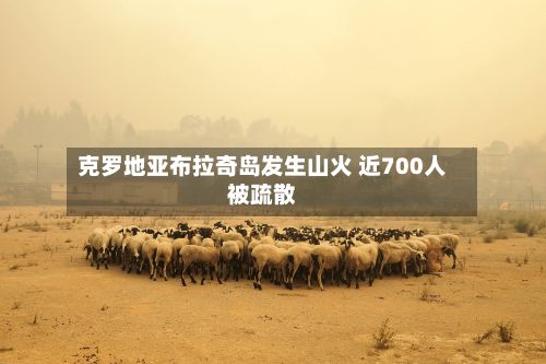 克罗地亚布拉奇岛发生山火 近700人被疏散