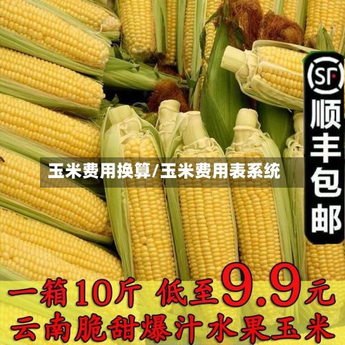 玉米费用换算/玉米费用表系统-第2张图片