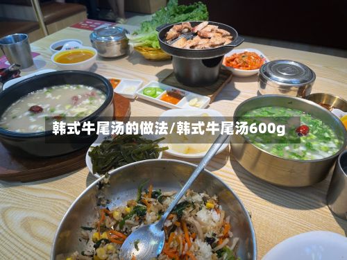 韩式牛尾汤的做法/韩式牛尾汤600g