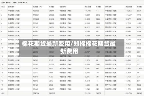 棉花期货最新费用/郑棉棉花期货最新费用-第2张图片