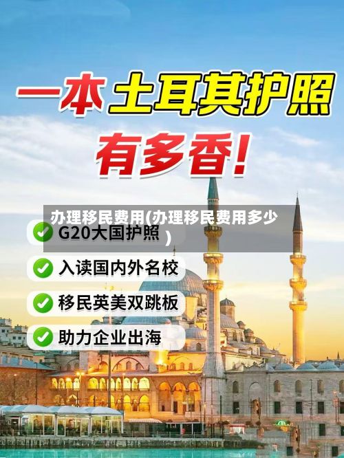 办理移民费用(办理移民费用多少)