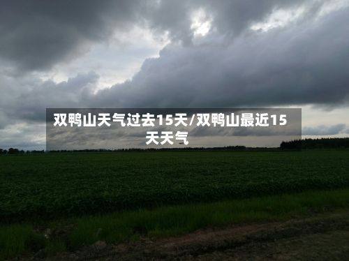 双鸭山天气过去15天/双鸭山最近15天天气