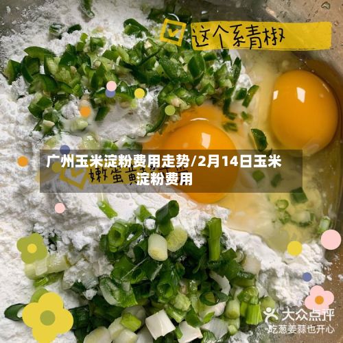 广州玉米淀粉费用走势/2月14日玉米淀粉费用