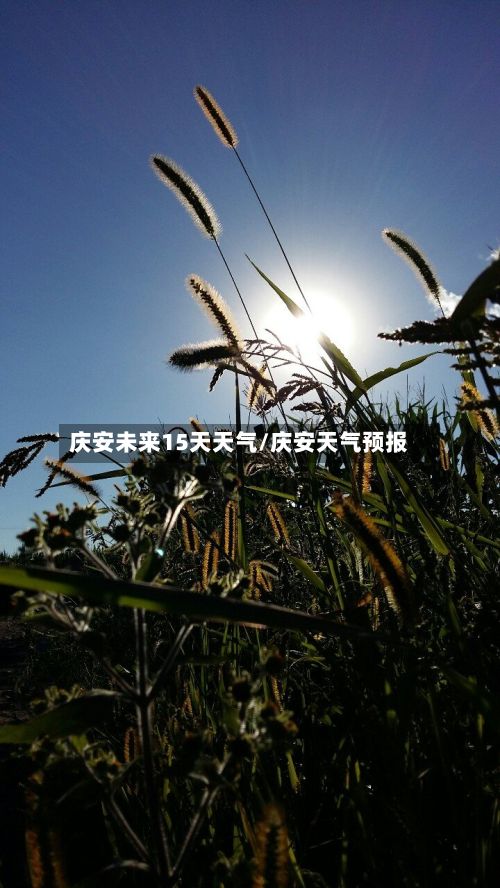 庆安未来15天天气/庆安天气预报-第2张图片