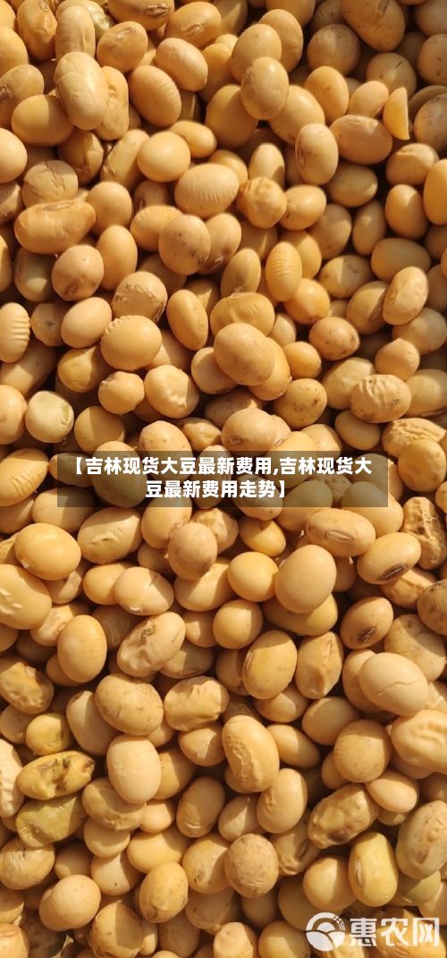 【吉林现货大豆最新费用,吉林现货大豆最新费用走势】