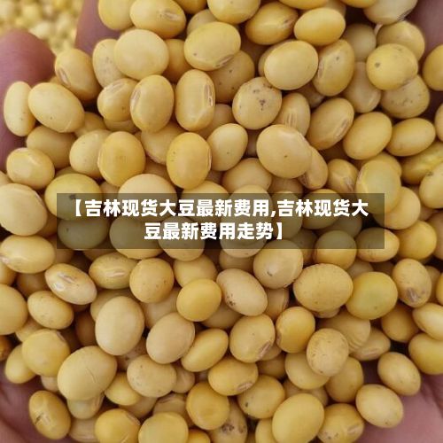 【吉林现货大豆最新费用,吉林现货大豆最新费用走势】-第3张图片