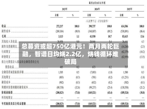 总募资或超750亿港元！两月两轮巨融，智谱日均烧2.2亿	，烧钱循环难破局-第2张图片