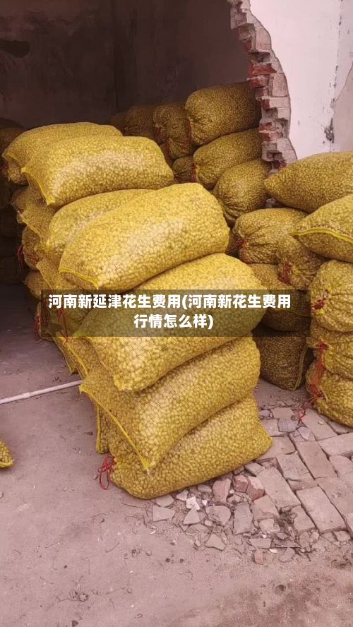 河南新延津花生费用(河南新花生费用行情怎么样)-第2张图片