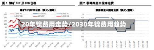 20年镍费用走势/2030年镍费用趋势