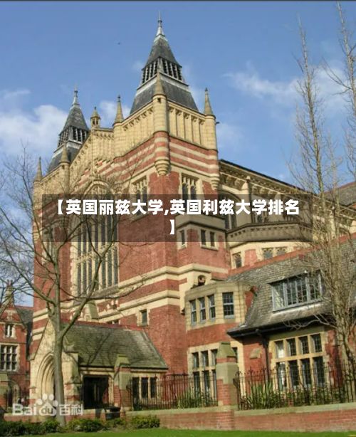 【英国丽兹大学,英国利兹大学排名】-第3张图片
