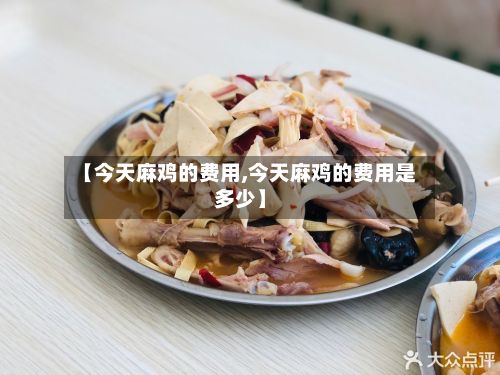 【今天麻鸡的费用,今天麻鸡的费用是多少】-第2张图片