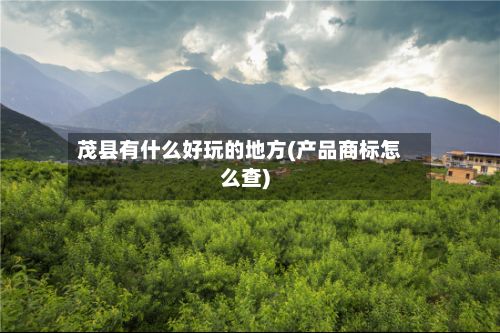 茂县有什么好玩的地方(产品商标怎么查)