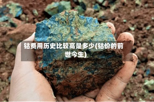 钴费用历史比较高是多少(钴价的前世今生)-第2张图片