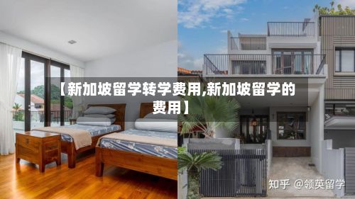 【新加坡留学转学费用,新加坡留学的费用】-第2张图片
