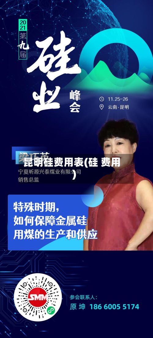 昆明硅费用表(硅 费用)