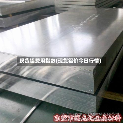 现货铝费用指数(现货铝价今日行情)-第3张图片