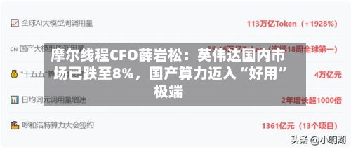 摩尔线程CFO薛岩松：英伟达国内市场已跌至8%	，国产算力迈入“好用”极端-第3张图片