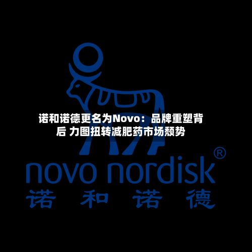 诺和诺德更名为Novo:品牌重塑背后 力图扭转减肥药市场颓势-第3张图片