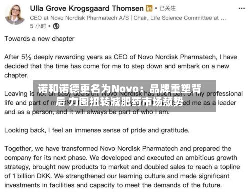 诺和诺德更名为Novo:品牌重塑背后 力图扭转减肥药市场颓势-第2张图片