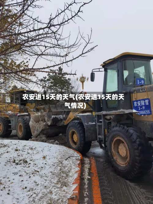 农安进15天的天气(农安进15天的天气情况)