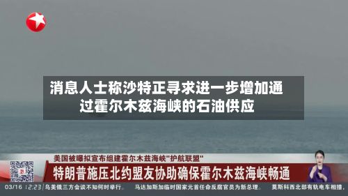 消息人士称沙特正寻求进一步增加通过霍尔木兹海峡的石油供应