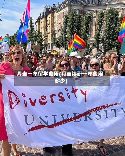 丹麦一年留学费用(丹麦读研一年费用多少)