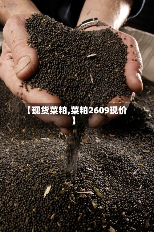 【现货菜粕,菜粕2609现价】