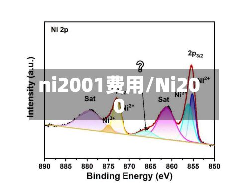 ni2001费用/Ni200-第3张图片